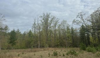 L15 S Durham Estates Road, Acra, NY 12405