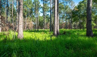221 Ac Crestview Rd, Arlington, GA 39813