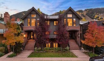 719 E Hopkins Ave 202, Aspen, CO 81611