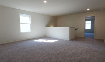 1621 White Fir Ln, Anna, TX 75409