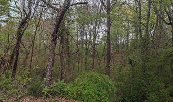 0 Lot 258 WINFREY Ln 258, Anniston, AL 36206