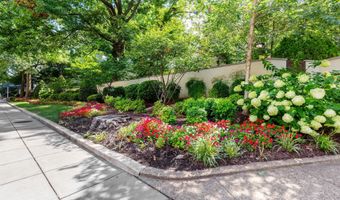 3100 CONNECTICUT Ave NW 230, Washington, DC 20008
