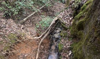 0 Vista Ln, Bethel Springs, TN 38315