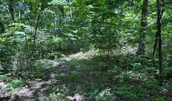 6 8 Acres Friendship South Rd, Afton, TN 37616