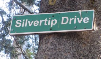 175 Silver Tip Dr, Bear Valley, CA 95223