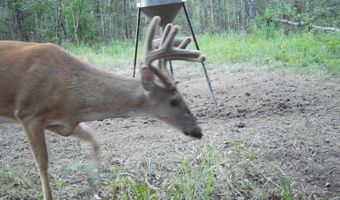 38774 S Mccarrol Rd, Amite, LA 70422