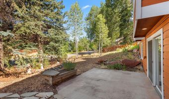 985 Lupine Cir, Basalt, CO 81621
