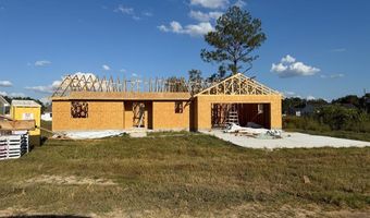 166 Grace Loop, Alma, GA 31510