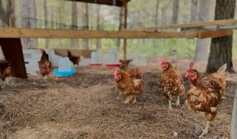 1808 Aiken Rd, Blackstock, SC 29014