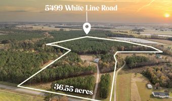 5499 White Line Rd, Ayden, NC 28513