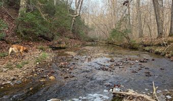 PAYNES POND RD, Arvonia, VA 23004