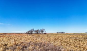 15317 Co Rd A, Allison, TX 79003