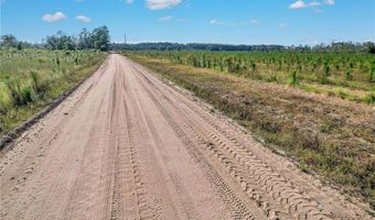 Tract 19 Sellers Road NW, Baxley, GA 31513