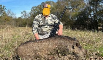 225 CR 3303, De Kalb, TX 75559