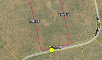 Tortuga LOT # 18 Loop, Belen, NM 87002