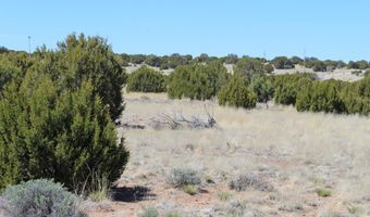 80 County Road 8620, Concho, AZ 85924