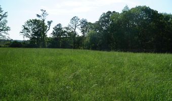 339 MCNUTT Rd, Bear Creek, AL 35543