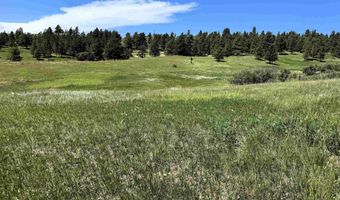 11 Tower Ridge Dr, Devils Tower, WY 82714