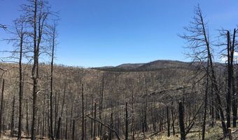 3600 Moondance Way, Bellvue, CO 80512