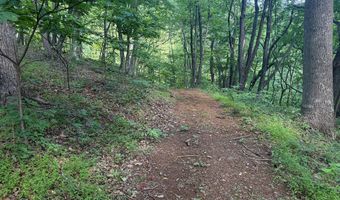 281 Scotts Branch Rd, Amherst, VA 24521