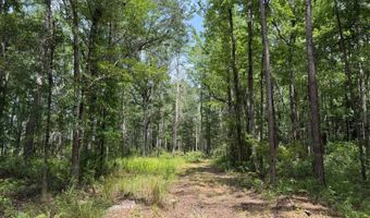 Fox Paw Court, Branchville, SC 29432