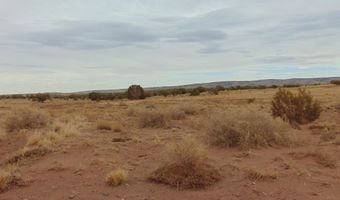42 N5576, Concho, AZ 85924