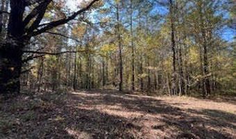 Perry Chapel Road, Ashland, MS 38603