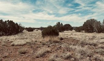 Lot 43se Tides Trl, Ash Fork, AZ 86320