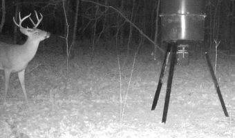Williams Road, Bald Knob, AR 72010