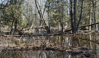 139 AC Witt Rd, Alpena, MI 49707