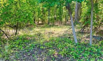 Grants Mill Rd W, Bennettsville, SC 29512