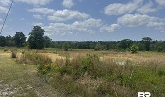 39207-1 St Hwy 59, Bay Minette, AL 36507