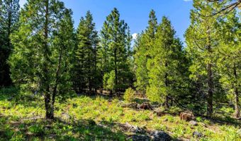 9454 Ridge Rd, Alturas, CA 96101