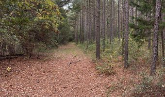 0 County Road 79 S, Baker Hill, AL 36027