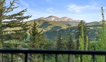 26 Twining Flats Rd, Aspen, CO 81611