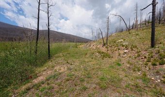 30 Sheep Horn Ct, Bellvue, CO 80512