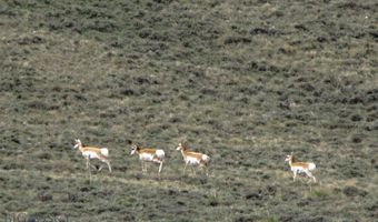 517 Deadman Creek Rd, Bridger, MT 59014