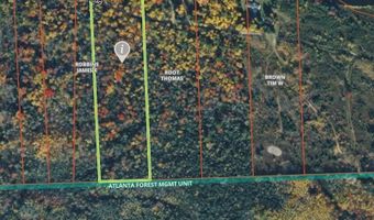 6780 Macey Ln, Alpena, MI 49707