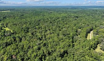 NW 218TH LANE, Alachua, FL 32615