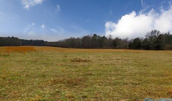 10 Acres Union Hill Rd, Ardmore, TN 38449