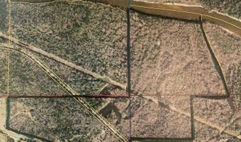 175 Ac +- Highway 198, Beaumont, MS 39423