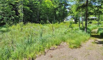 43 Xxx Daisy St, Aitkin, MN 56431