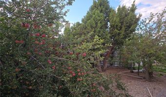 Bugling Bull Road, Cold Creek, NV 89124