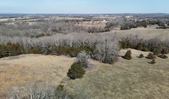 Rr 4 Box 1307-A, Ava, MO 65608