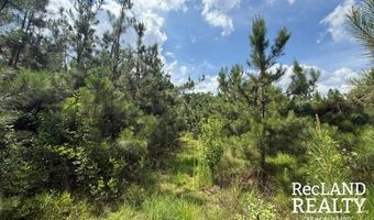Cooper Lake Road, Bastrop, LA 71220