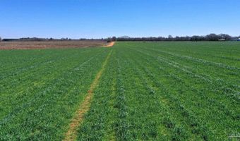 Lot 15 Davis Pond Rd, Atmore, AL 36502