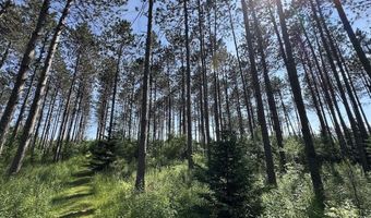 2254 E M30, Alger, MI 48610