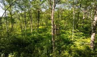 TBD 359th Ln, Aitkin, MN 56431