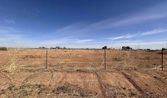 E of 356 Brantley Road, Carlsbad, NM 88220