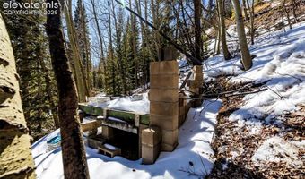 944 Roberts Rd, Alma, CO 80420